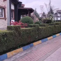 هرس و فضا سازی