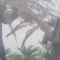 زمین فاز ۴ بسیج