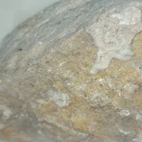 سنگ پول(طلا)اصل طبق عکس