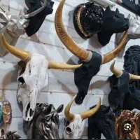 جمجمه اسکلت نماد سرخ پوستی سکان لنگر کشتی چوبی و