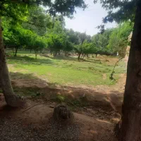 زمین.باغ. باغچه ورامین معاوضه با خودرو و طلا