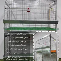 ویژه* قفس مرغ محلی ،بلدرچین ، کبک ، قرقاوول