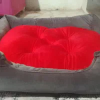 تخت خواب سگ
