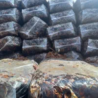 فروش خرمای صنعتی جهت مصرف در لواشک شیره خمیر