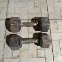 دمبل