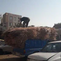 جارو  سوفوری  و  محلی