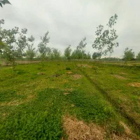 1120 متر زمین (معاوضه طلا  ماشین)