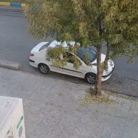 ۲۰۶ صندوقدار اتاق صد