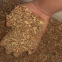 خاک گردو
