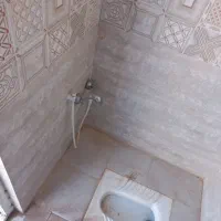 درخت|گل و گیاه طبیعی|آران و بیدگل, |دیوار