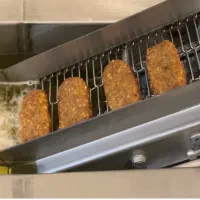 سرخ کن ریلی فلافل و کتلت و غیره