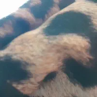 روسری قواره بزرگ دست دوز دوتا