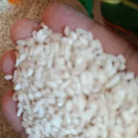 برنج عنبر بو دره شهر