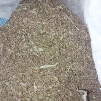 ۱۰۰کیلو گندم