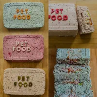 غذای سگ و تشویقی