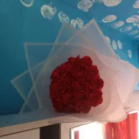 گل های رنگی با هر طرح و رنگ ،گل عروس