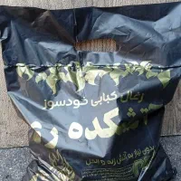 ذغال کبابی خودسوز بسته بندی و فله سرند شده