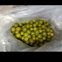 آلو جنگلی ترش مخصوص ترشی