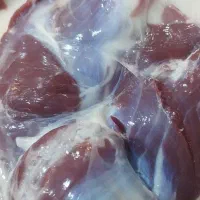 گوسفند زنده قصاب و سلاخ حرفه ای