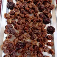 آلو خشک طبیعی