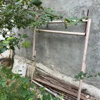 دارقالی فرش