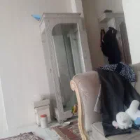 گنجه سالم