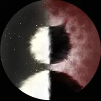 رزرو اتاق فرار دعوت