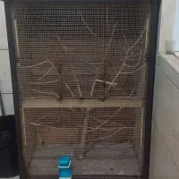 قفس برای قناری سهره مرغ عشق فنچ عروس و...