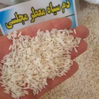 برنج دم سیاه فارسیان