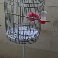 قفس و پایه نقره ای رنگ