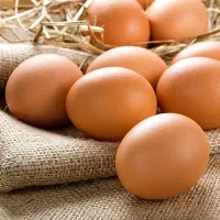 تخم مرغ محلی ارگانیک سلنیوم پلاس
