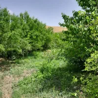باغ‌کشاورزی‌‌درعارفی‌