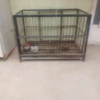 باکس فلزی سگ ط یک متر