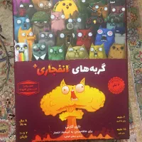 گربه های انفجاری
