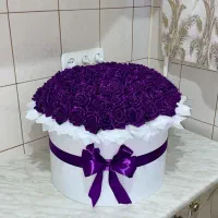 گل رز روبانی