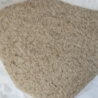 سرلاشه ه نیم دانه هاشمی معطر  برنج درشت
