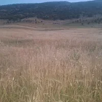 زمین کشاورزی سراب ایوان
