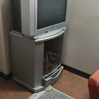 تلویزیون اسنوا