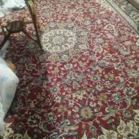 فرش ۴×۳|فرش|تربت‌حیدریه, جانبازان|دیوار