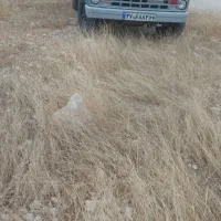 نیسان دوگانه شرکتی
