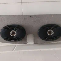 باند خربزه ای ساوایی