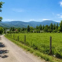 فروش-زمین-کشاورزی