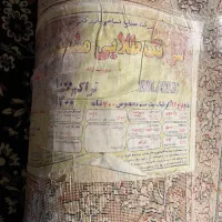 فرش|فرش|معصومیه, |دیوار
