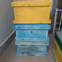 کندوی زنبور