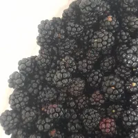 تمشک تازه