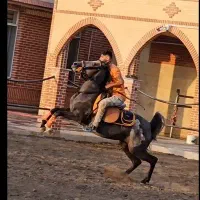 اسب مادیان کره نبرد اسطوره