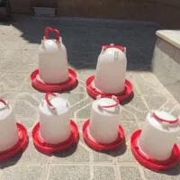 آبخوری ، قفس و لامپ مادون قرمز