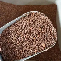 مرکزپخش قهوه کلی وجزیی. بدون واسطه
