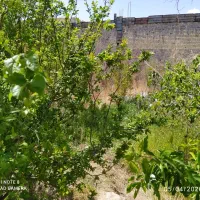 آب چاه کشاورزی ماداب