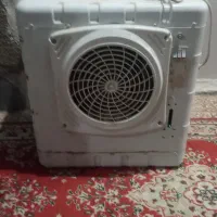 یک عددکولرآبی کوچک ۲۵۰۰